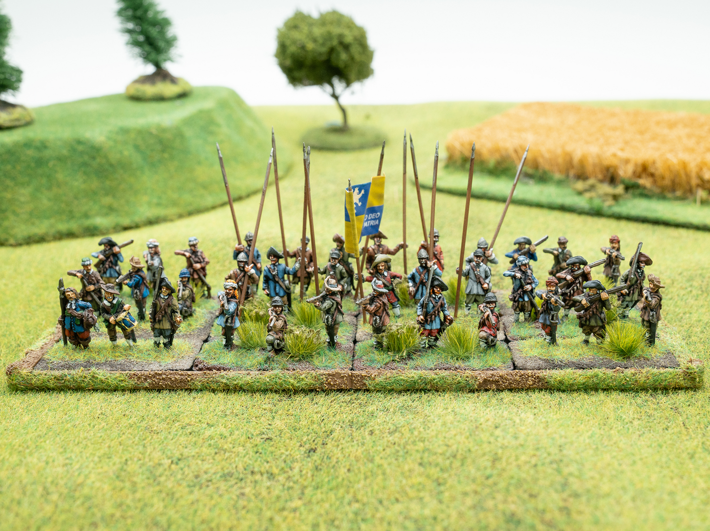 By Fire and Sword II: Mercenary infantry