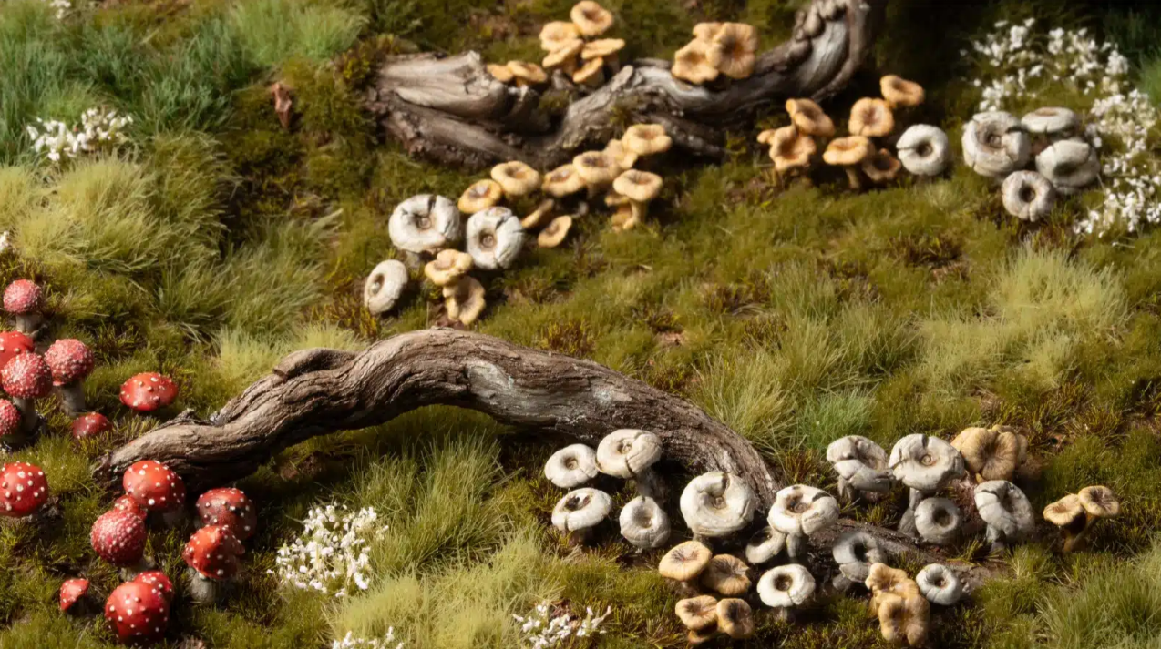 Basing Bits: Forest Mushrooms