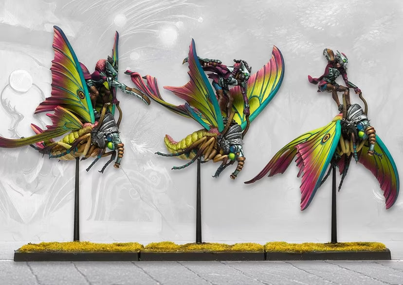 Weaver Courts: Sciathan Riders / Ciannir Riders