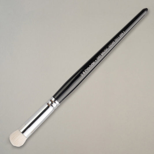 Pro Arte Dry Brush 10