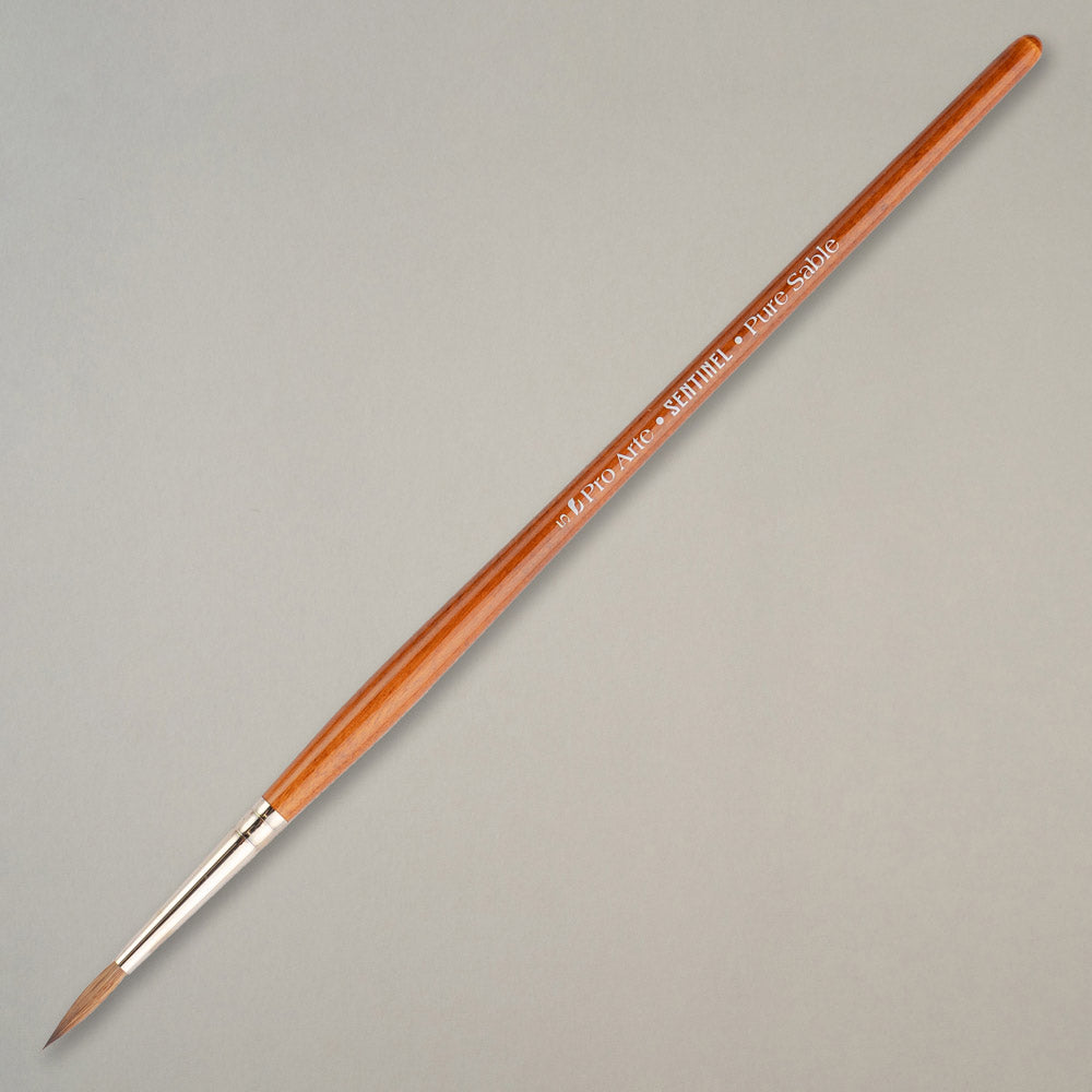 Pro Arte Sentinel Pure Sable 5