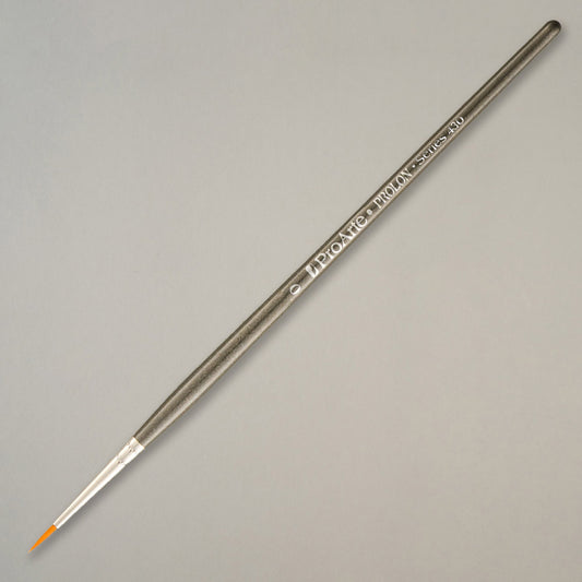 Prolon Model Paint Brushes 0