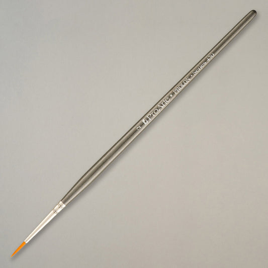 Prolon Model Paint Brushes 2
