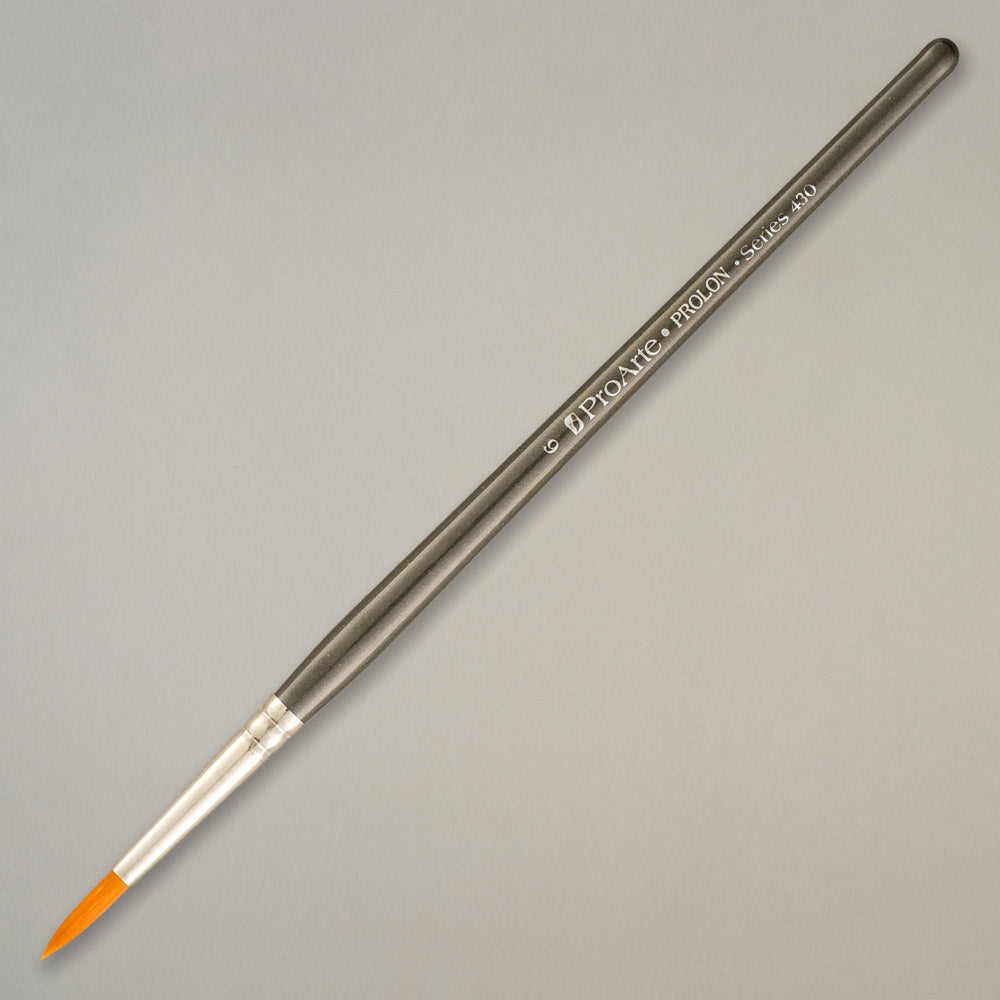 Prolon Model Paint Brushes 6
