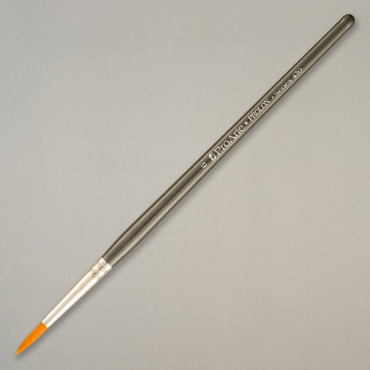 Prolon Model Paint Brushes 6