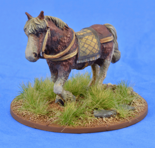 SSC20 Riding Pony (1)