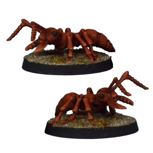 DEAL 180 Soldier Ants (2)