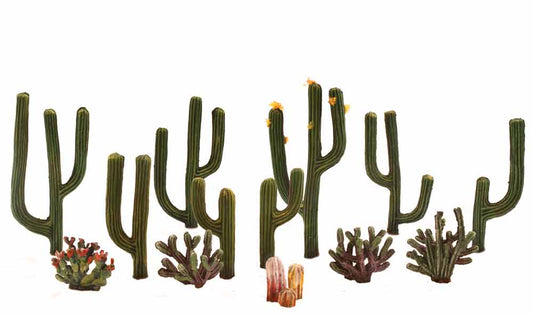 WTR3600 1/2"- 2 1/2" Cactus Plants (13/Pk)