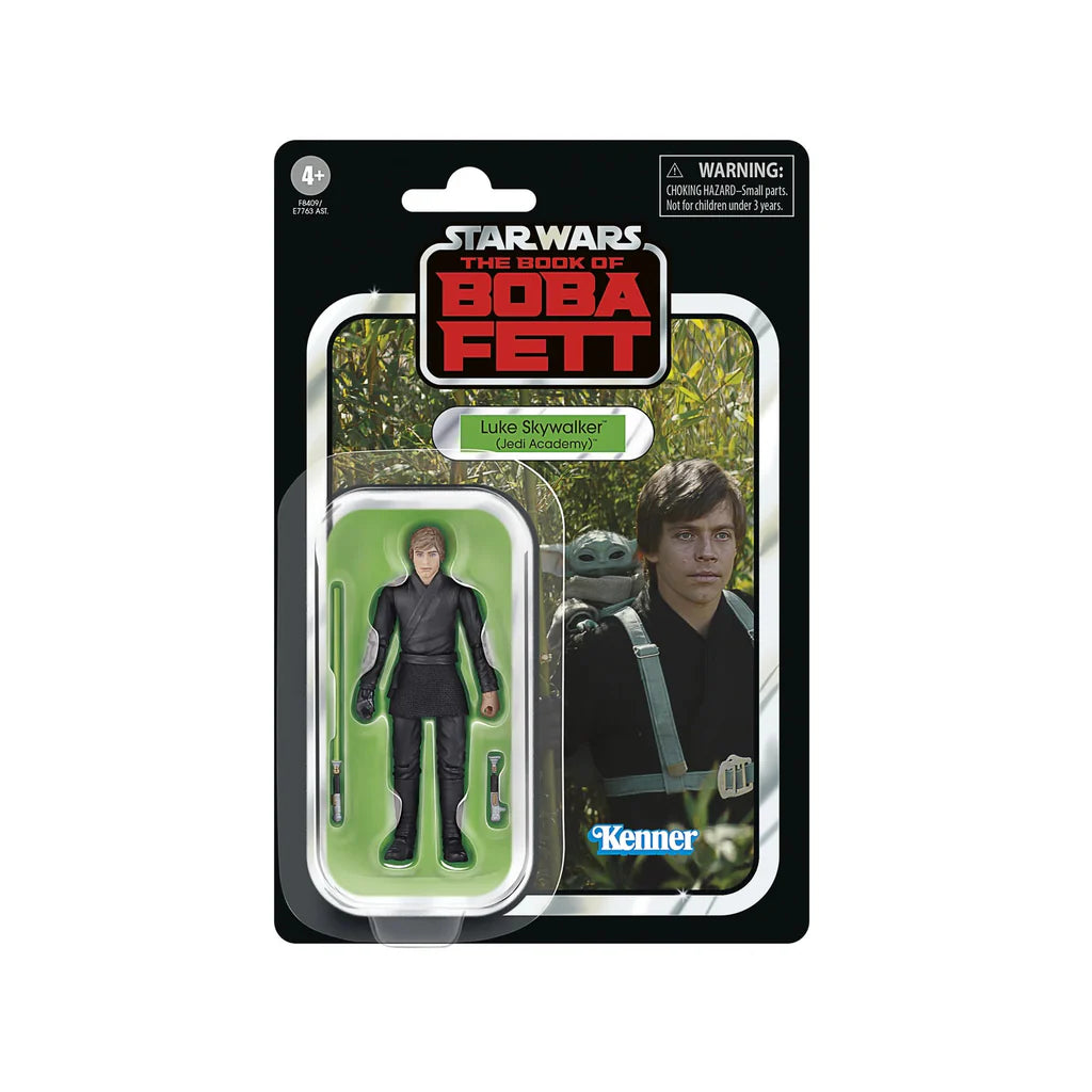 Luke Skywalker (Jedi Academy) - Star Wars Vintage Collection 298 (In Protective Case)