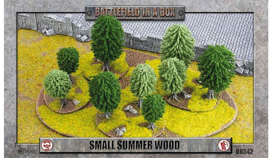BB542: Small Summer Wood