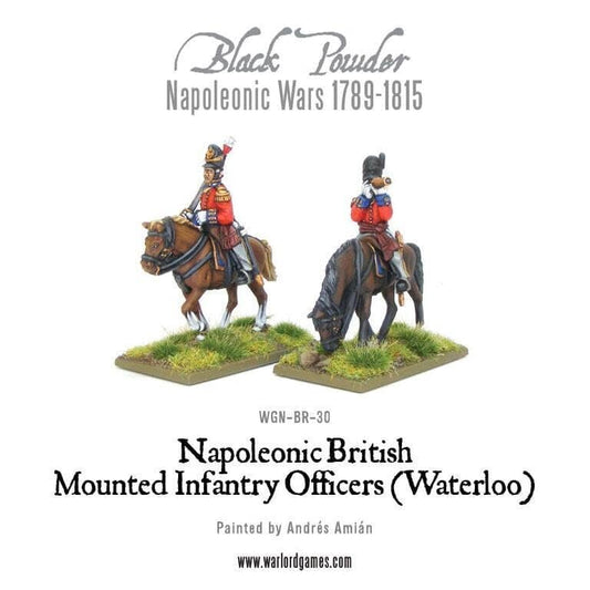 Napoleonic British Mounted Infantry Colonels (Waterloo)
