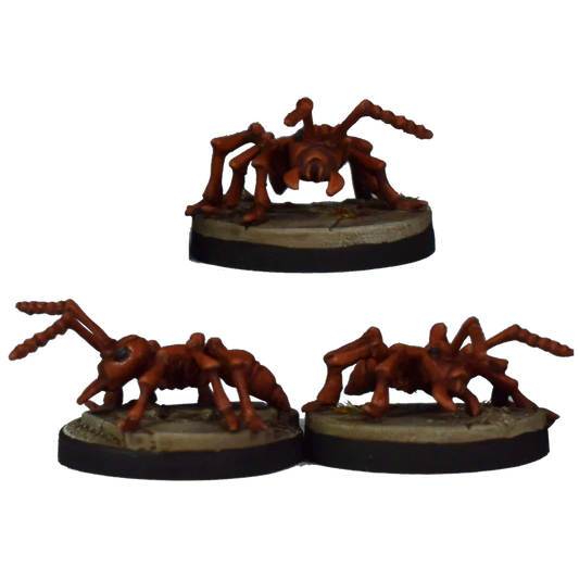 DEAL 179 Worker Ants (3)