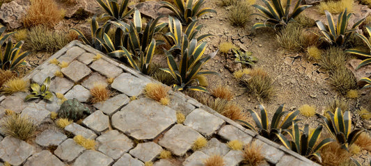 Laser Plants: Agave