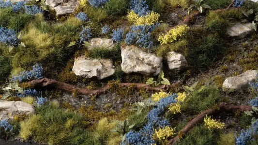 Gamers Grass Bluebeard Flowers (Blue)