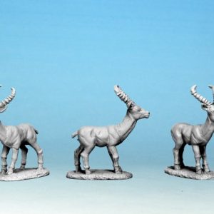 Antelope (x5)