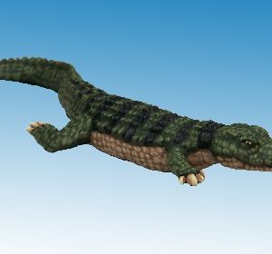 Nile Crocodile